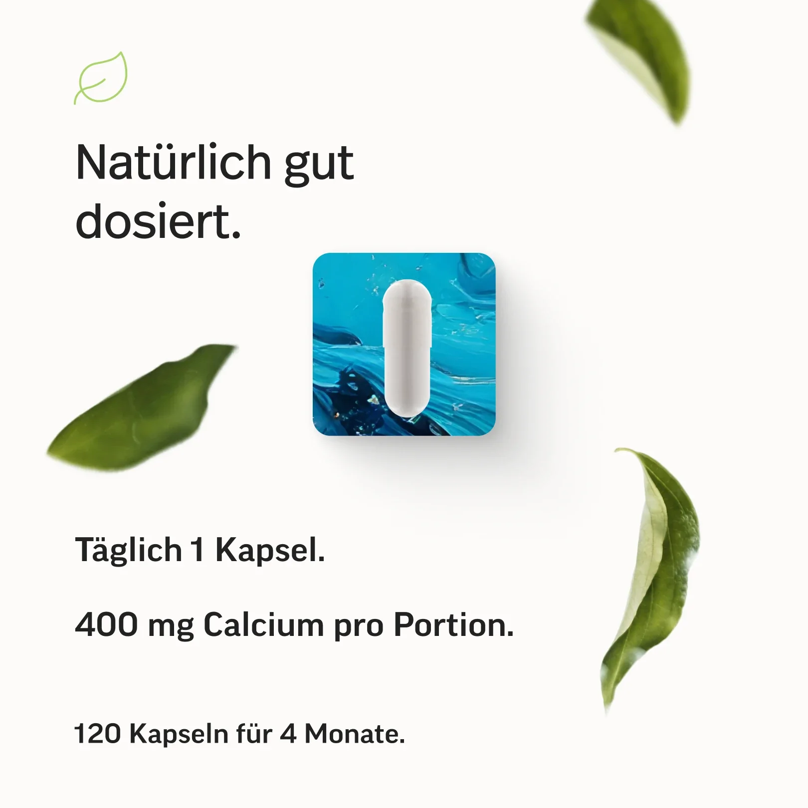 Calcium Kapseln - Image 6