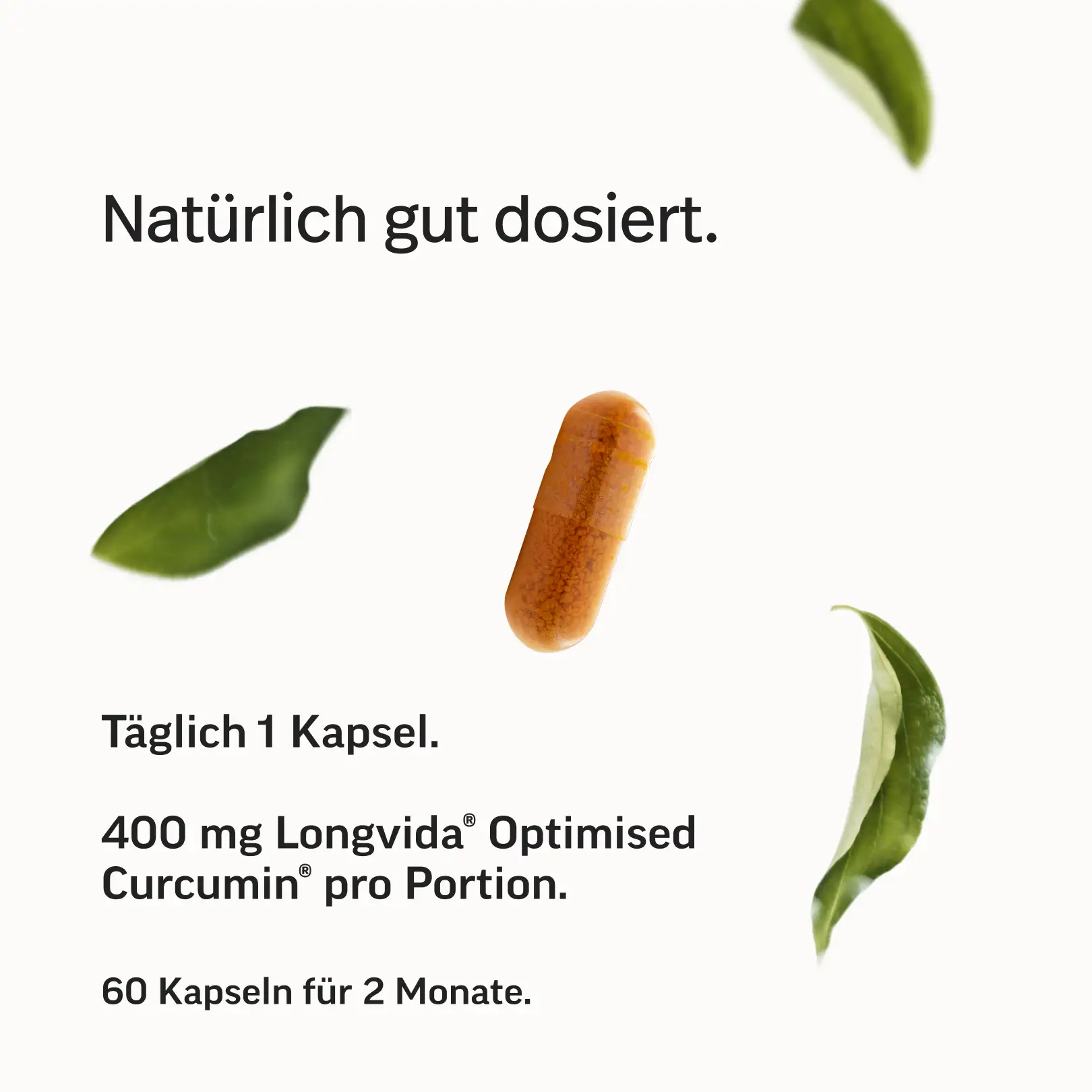 Curcumin Kapseln – Longvida® Optimised Curcumin® - Image 5