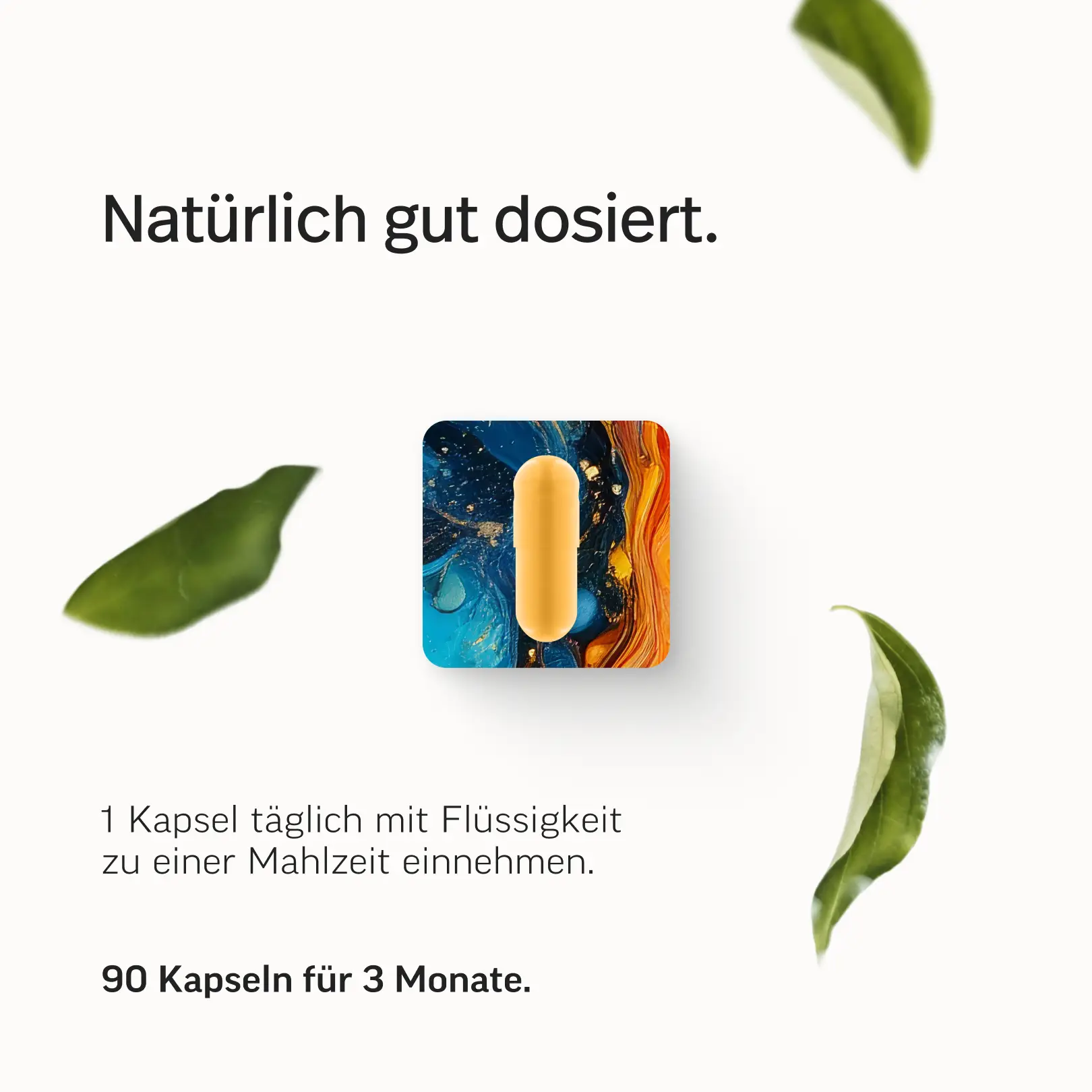 Das Multi – Premium-Multivitamin-Kapseln - Image 8