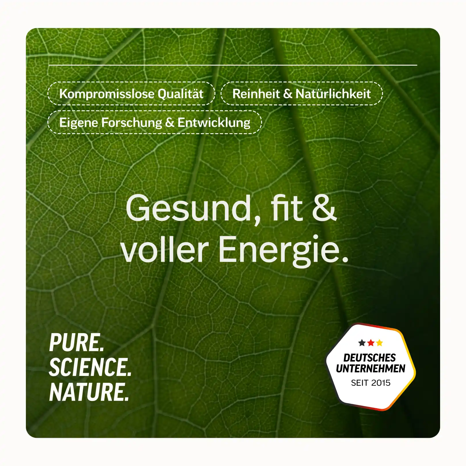 Ei-Protein Pulver aus Freilandhaltung - Image 26