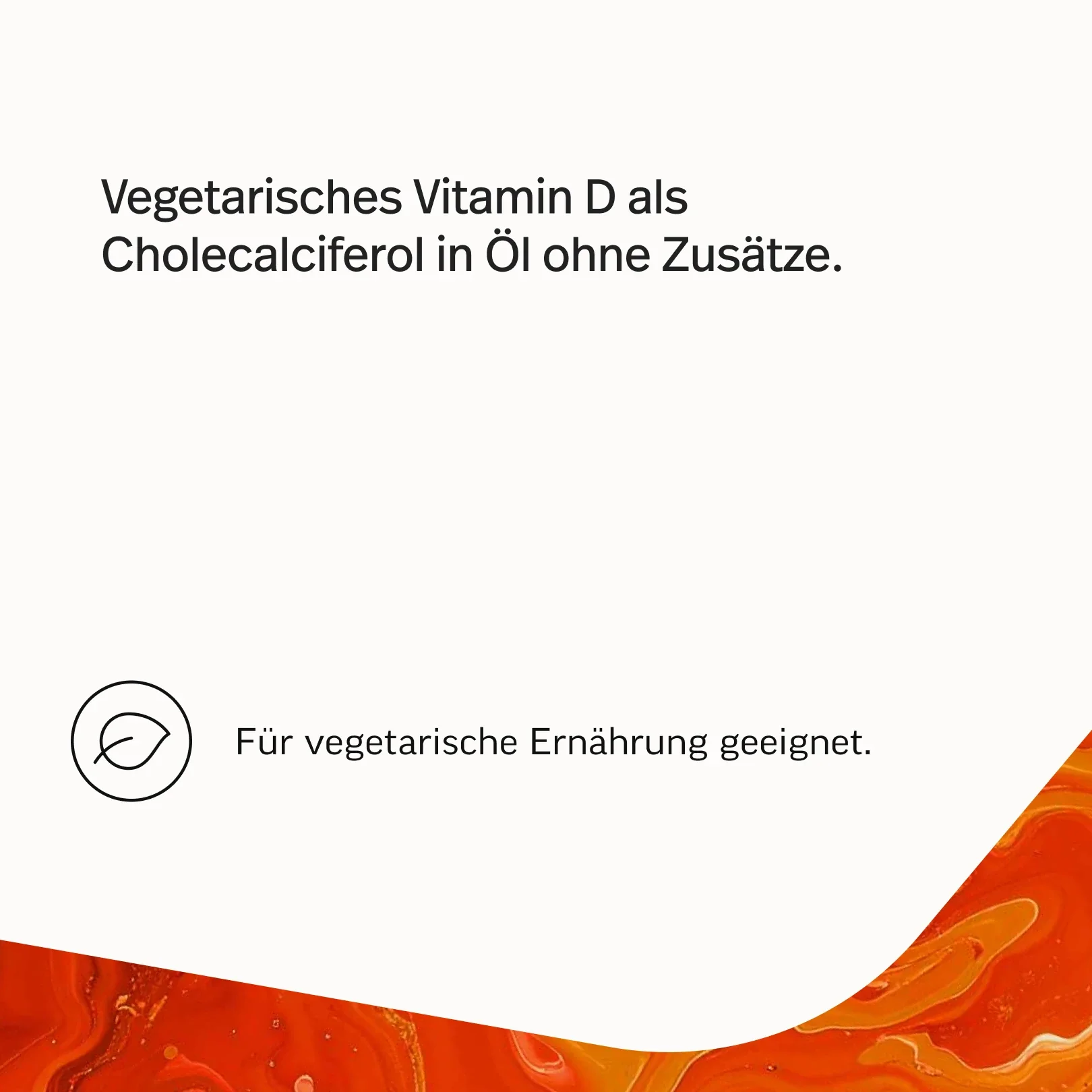 Essential Bundle - Image 12