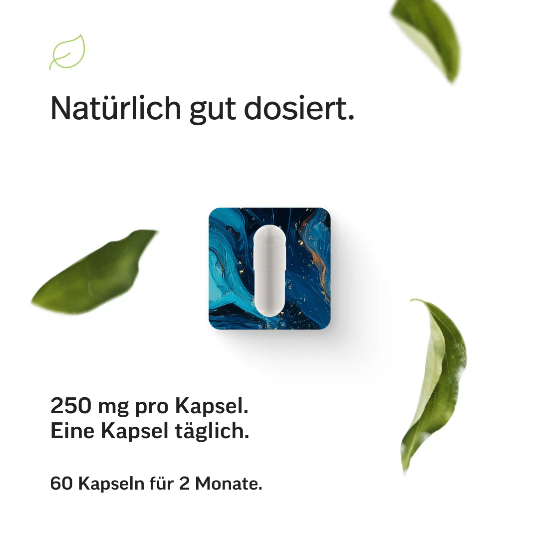 Hyaluronsäure Kapseln - Image 5