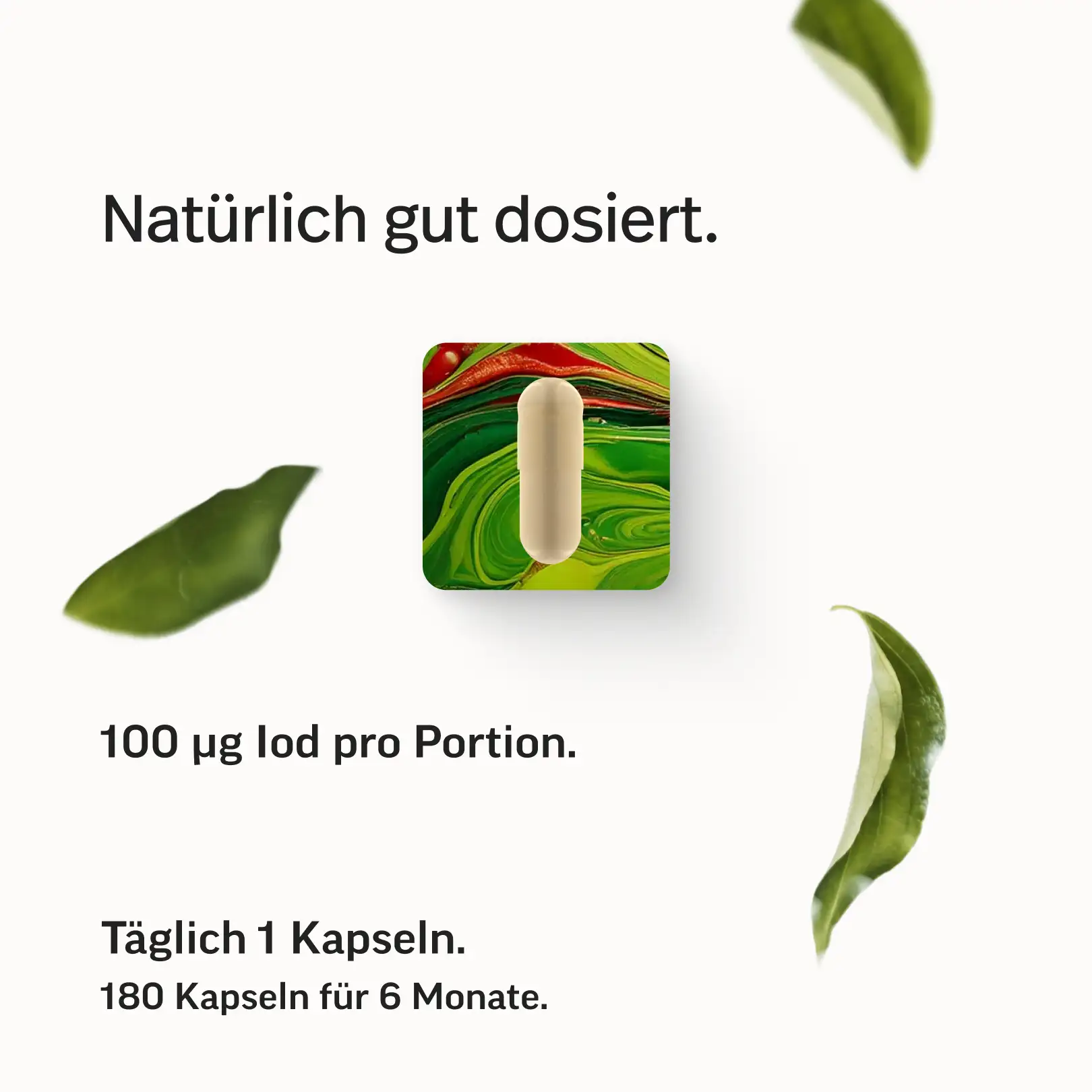 Iod Kapseln – aus reinstem Bio-Kelp - Image 7