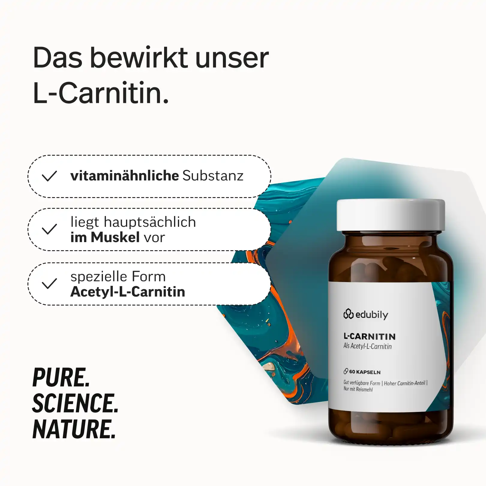 L-Carnitin Kapseln - Image 2