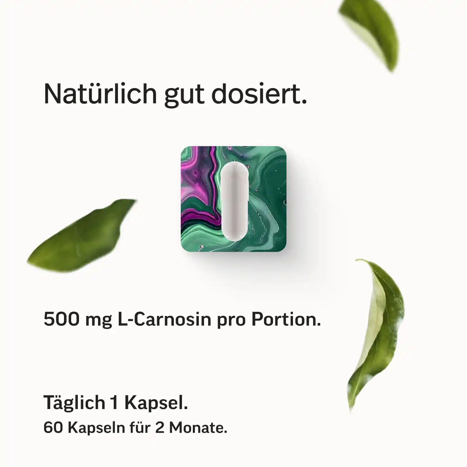 L-Carnosin Kapseln - Image 5