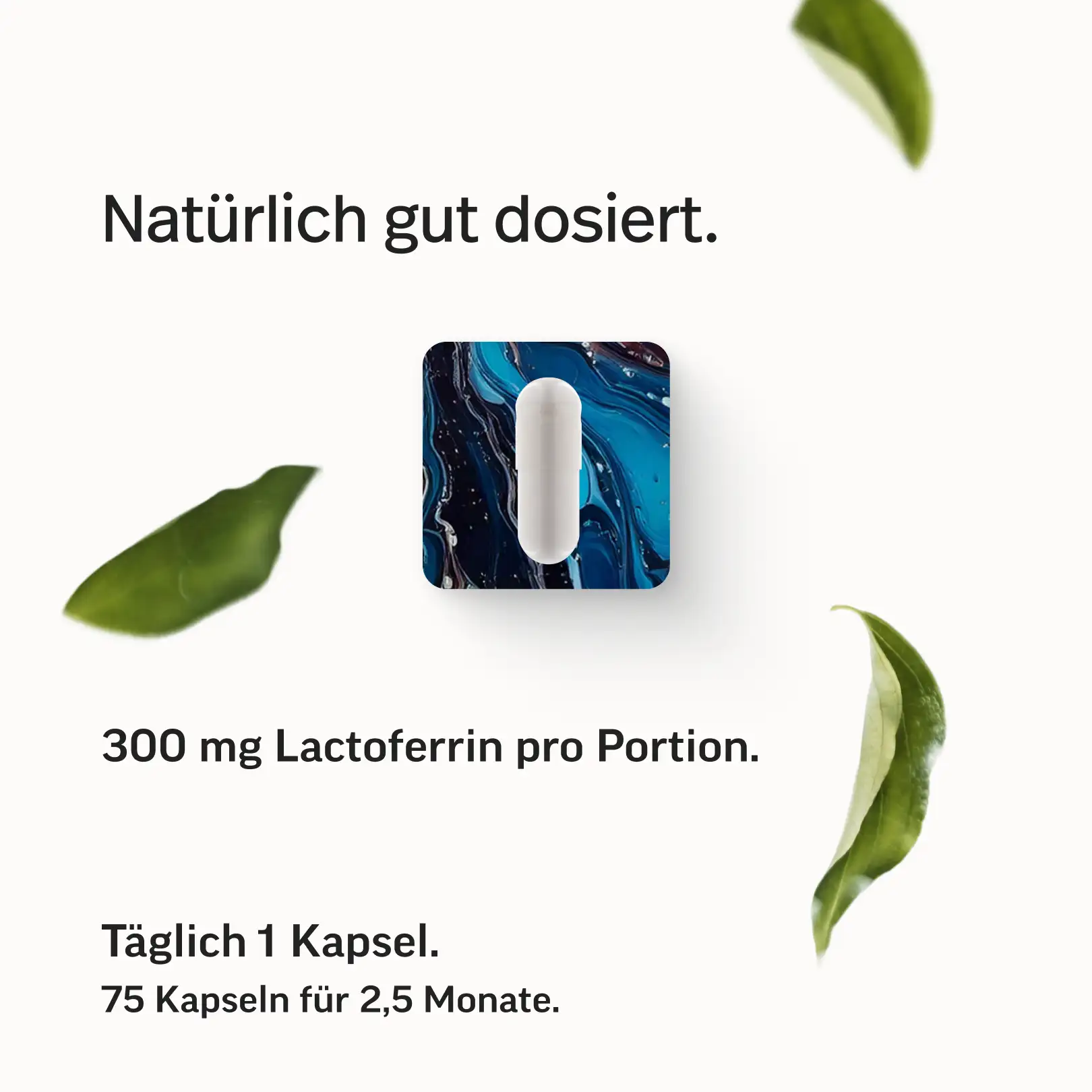Lactoferrin - Image 5