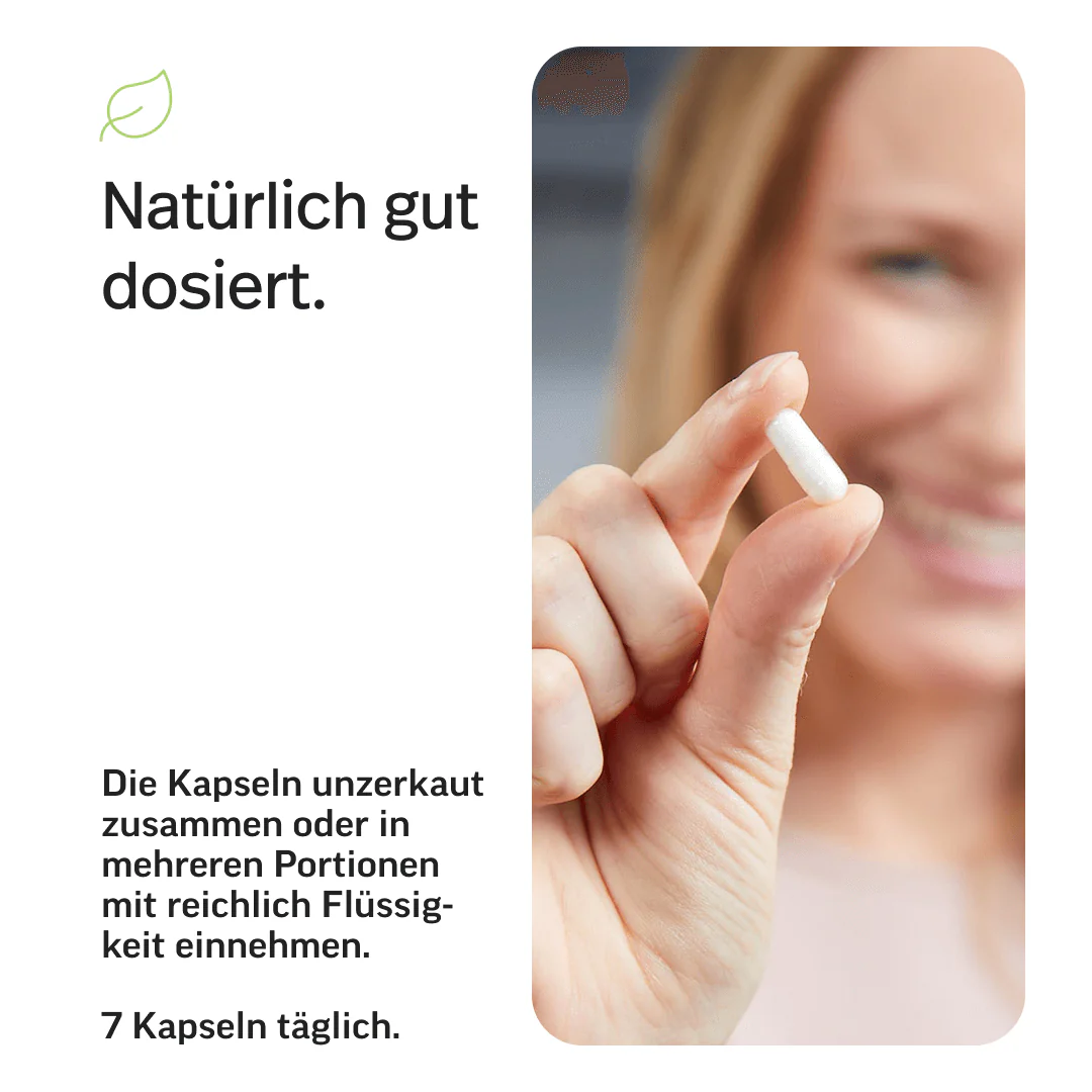 LP7 Aminosäuren Kapseln - Image 6