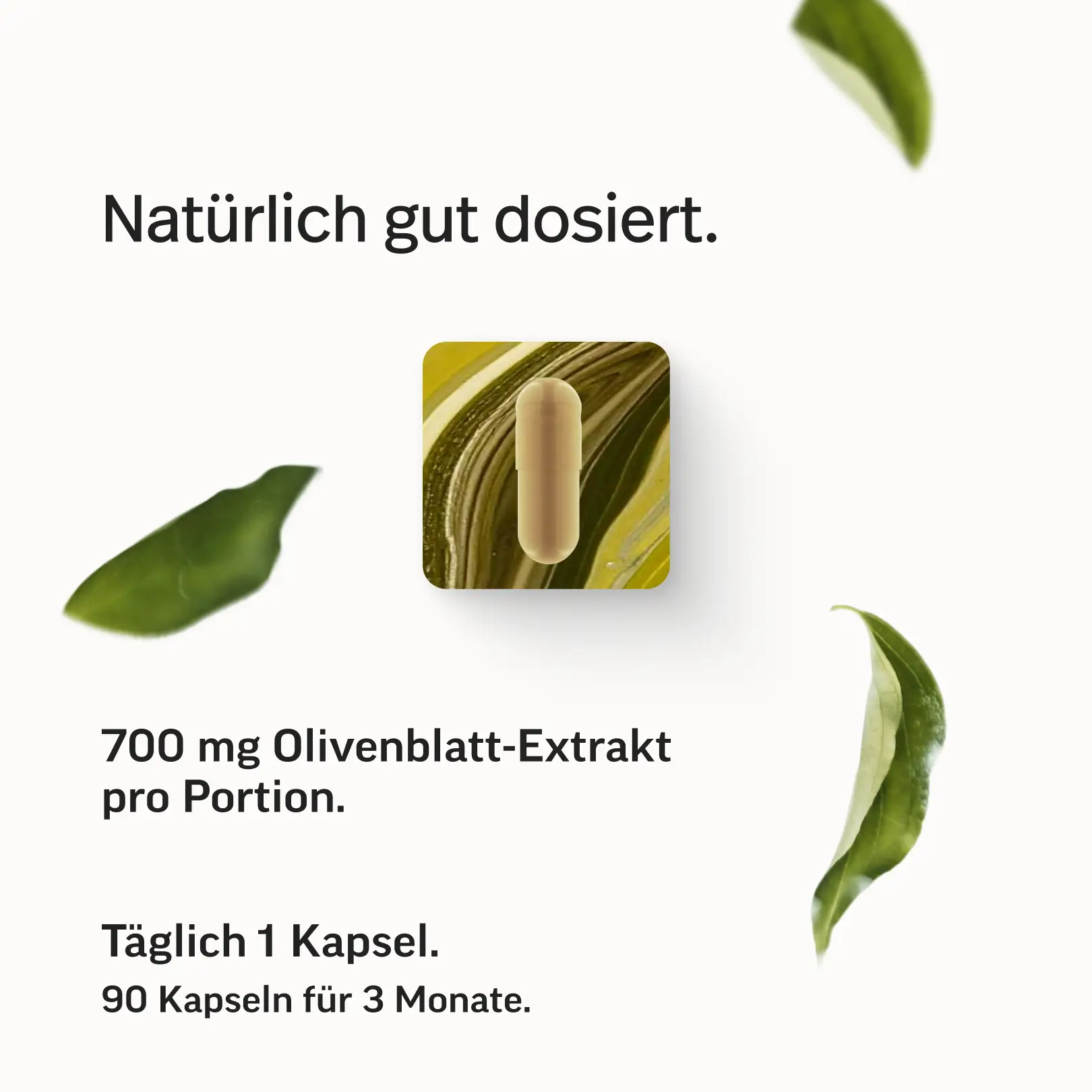 Olivenblatt-Extrakt Kapseln - Image 5