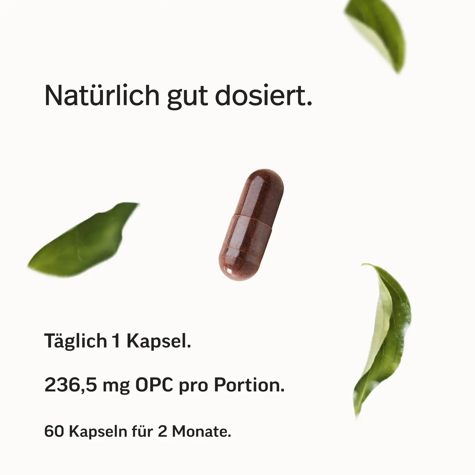 OPC-Komplex Kapseln - Image 5