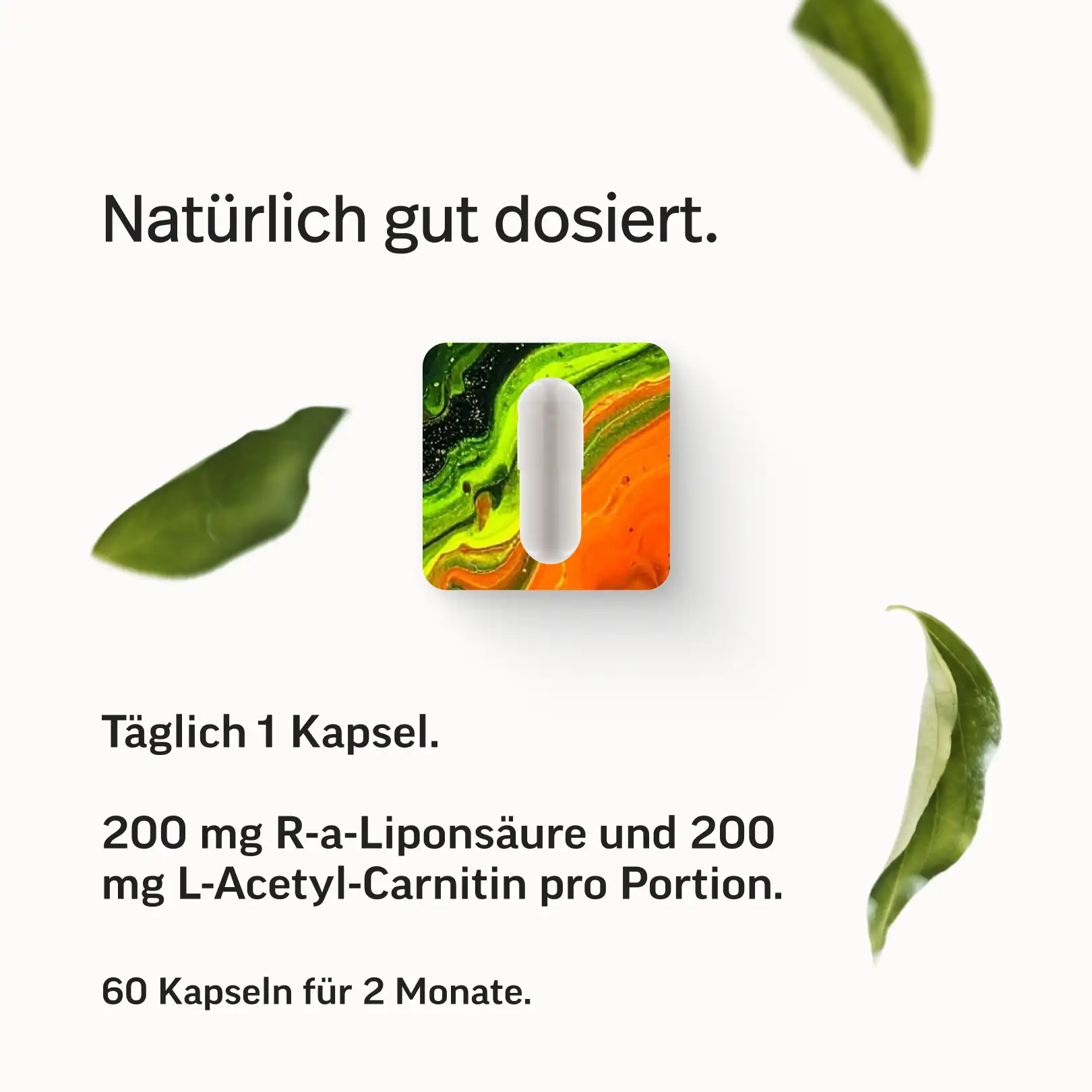 Macarena Kapseln - Image 5