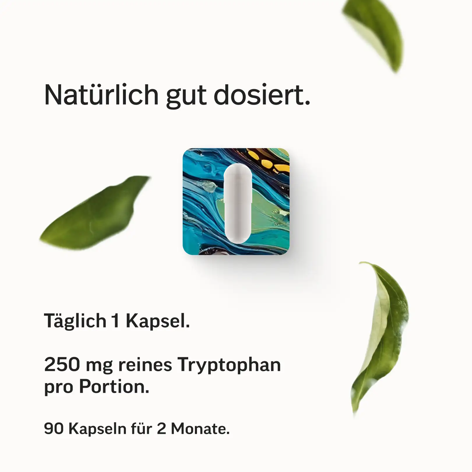 L-Tryptophan Kapseln - Image 5