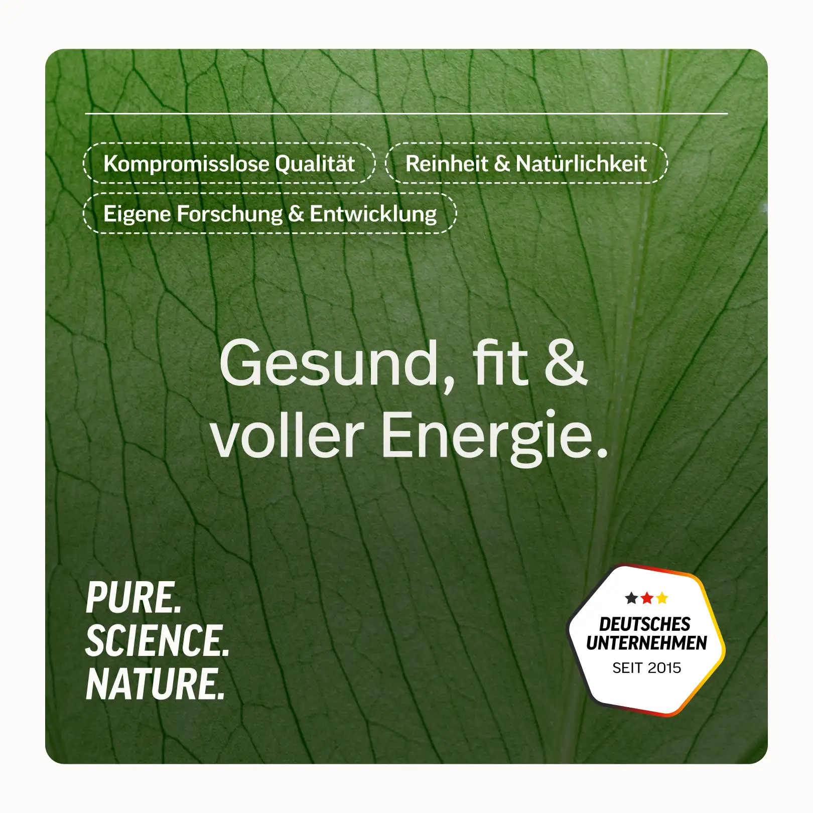 Veganes Proteinpulver - Image 15