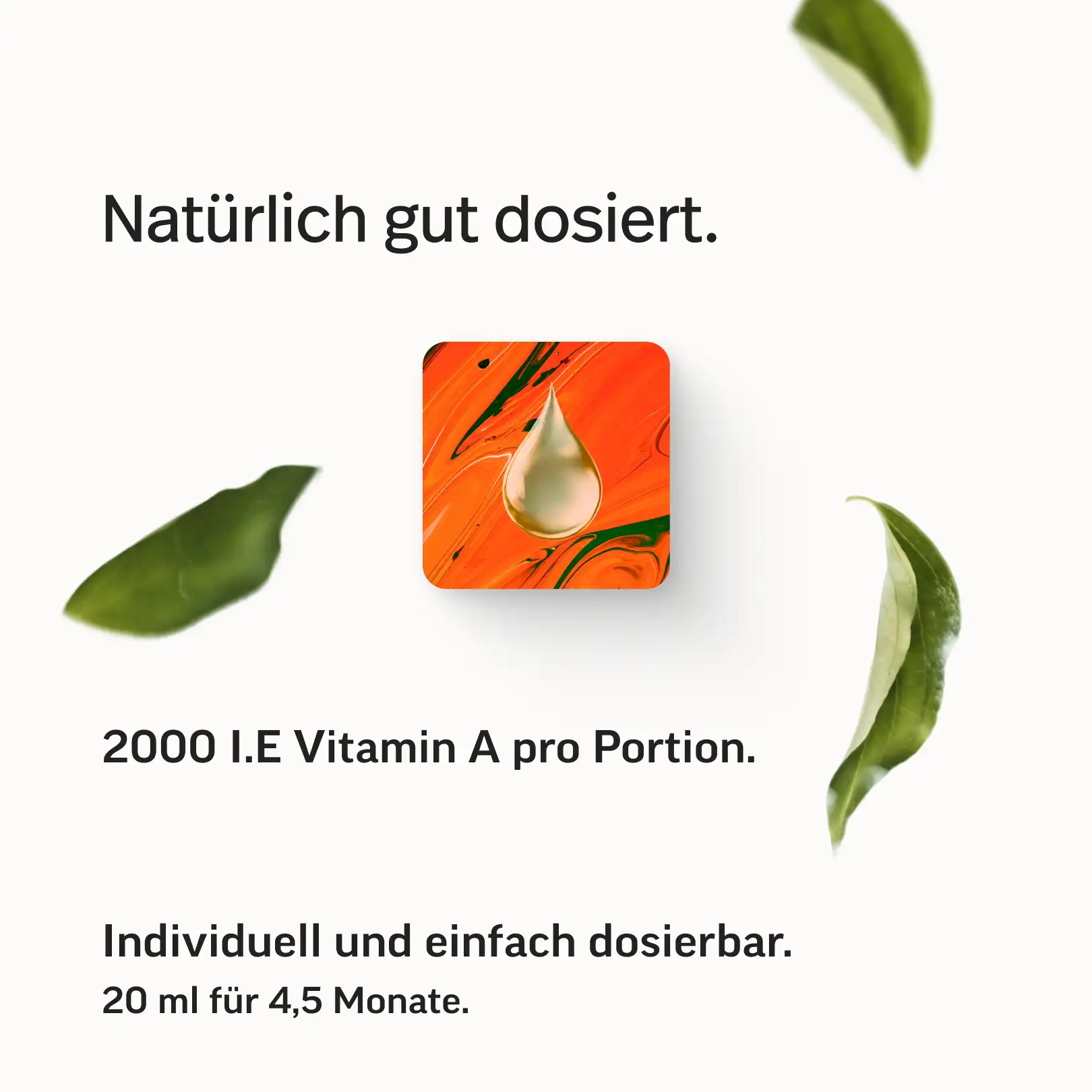 Vitamin A als reines Retinol - Image 15