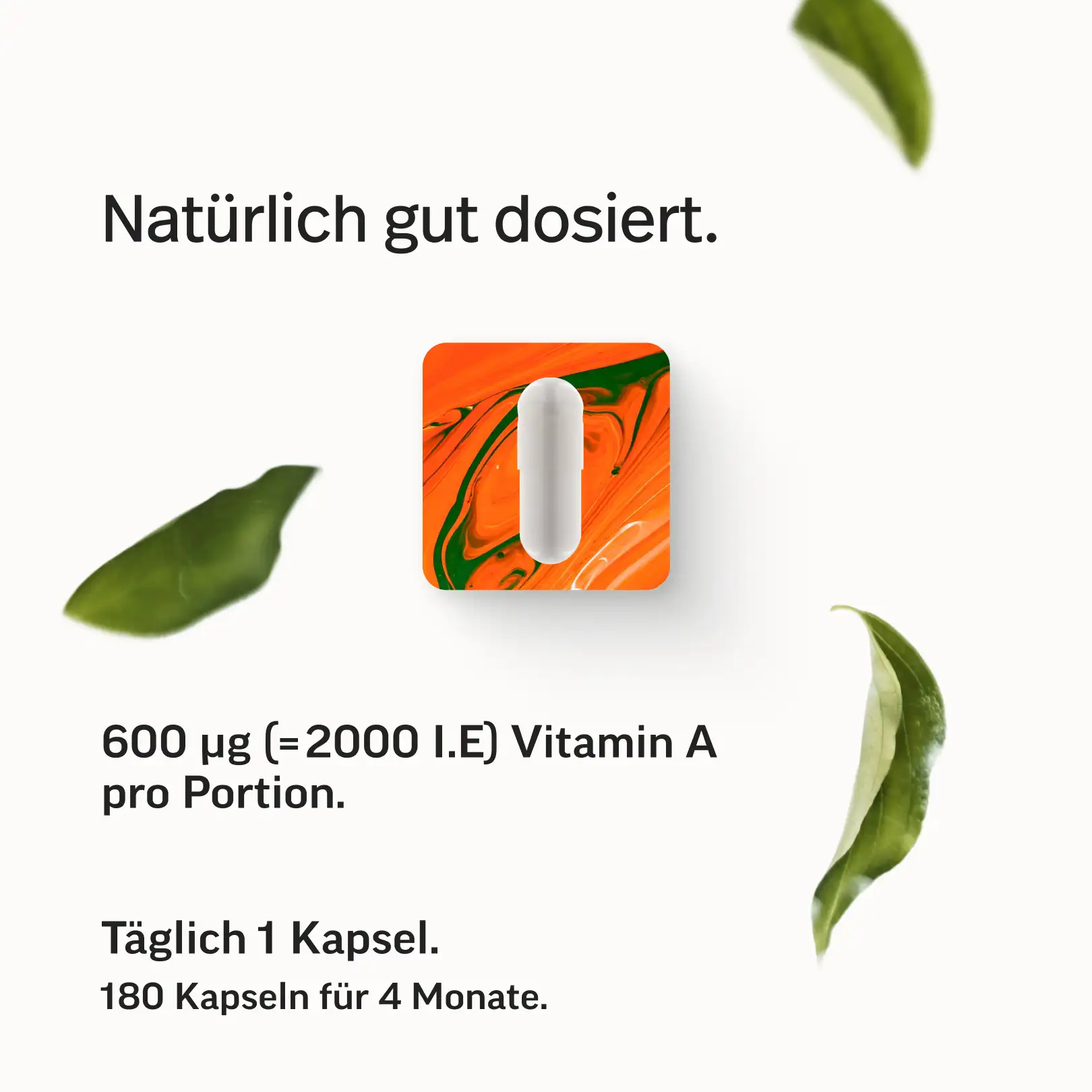 Vitamin A als reines Retinol - Image 6