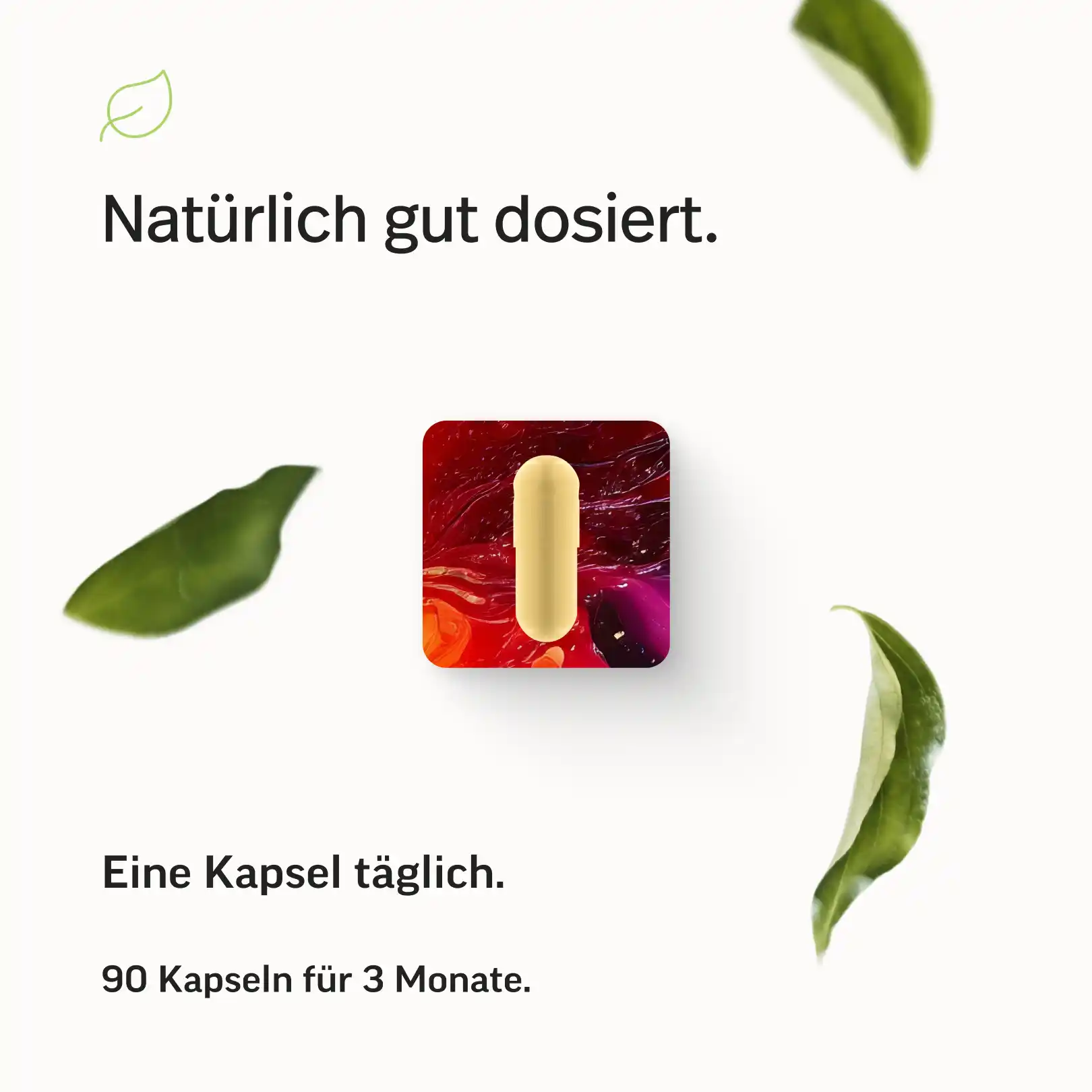 Vitamin B-Komplex - Image 6