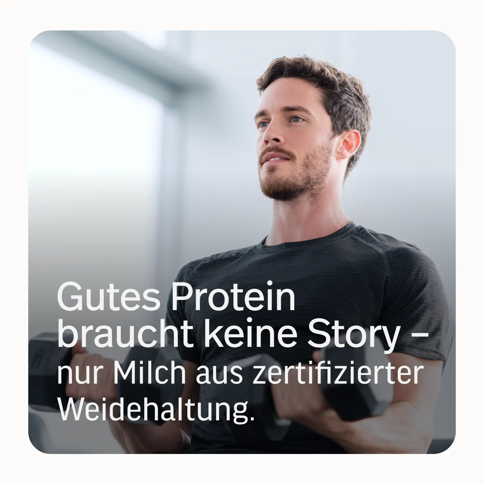 Whey-Isolat Pulver aus Weidemilch - Image 83